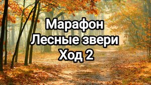 Марафон Лесные звери, ход 2