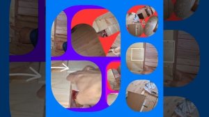 1000033741.mp4 (Собака наблюдает за креплением имитации бруса в большой комнате дома А-фрейм)