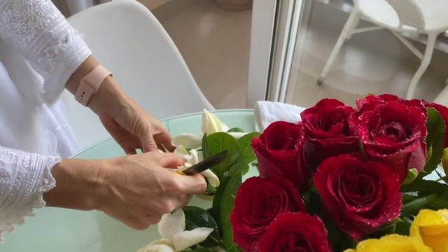 Радхе Радхе смотреть онлайн