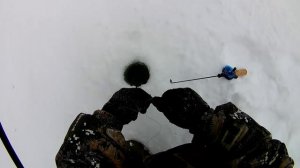 Поездка на первый лед 2019