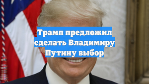 Трамп предложил сделать Владимиру Путину выбор