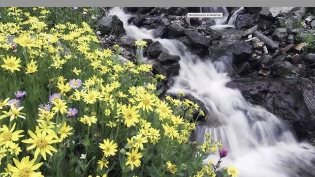 Реформа Здоровья. Отдых.