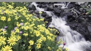 Реформа Здоровья. Отдых.