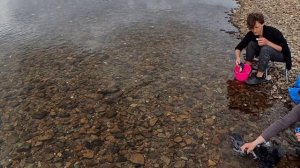 08_камеральный день