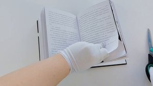 Самая опасная книга всех времен