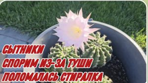 САМВЕЛ АДАМЯН, СЫТНИКИ, СПОРИМ ИЗ-ЗА ГУШИ, ПОЛОМАЛАСЬ СТИРАЛКА