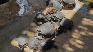 175033-852559063_small