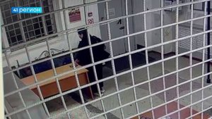 НА ОБЯЗАТЕЛЬНЫЕ РАБОТЫ ЗА КРАЖУ В ОТДЕЛЕ ПОЛИЦИИ ОТПРАВИЛИ ЖИТЕЛЬНИЦУ ЕЛИЗОВА • НОВОСТИ КАМЧАТКИ