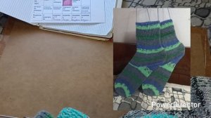 сп Бинго 2025 отчёт лето участник 82