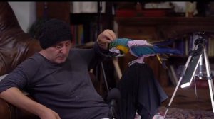 Бхарати Махарадж Шримад Бхагаватам 11.22 (2)