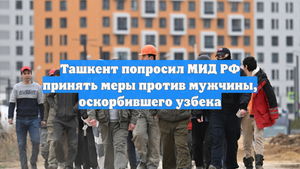 Ташкент попросил МИД РФ принять меры против мужчины, оскорбившего узбека
