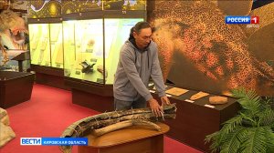 Вятский палеомузей получил в дар двухметровый бивень мамонта с реки Моломы