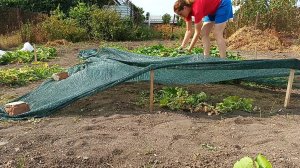 ЖИЗНЬ В СТАНИЦЕ./КУПИЛИ ДОМ НА ЮГЕ./ДОМ МЕЧТЫ./ Много дел.