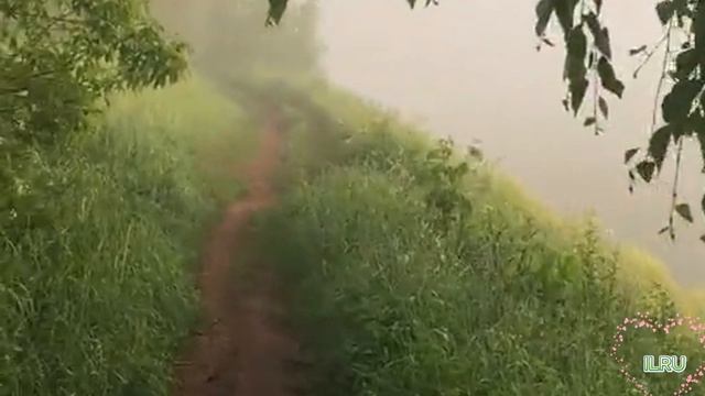 Интересные истории из жизни людей слушать онлайн. В поисках своего принца... смотреть онлайн