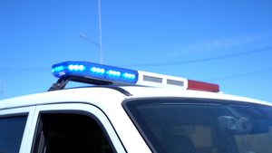 РЫБНЫЙ КРИМИНАЛ | Новости Камчатки | Масс Медиа