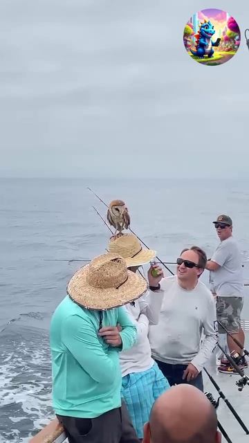 Смотри и наслаждайся смотреть онлайн