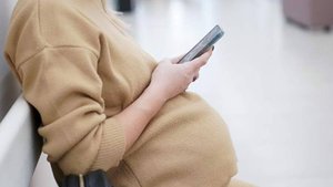 ЛДПР предложила ввести в РФ бесплатный проезд для беременных