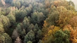 Сегодня осенний ритм все меняет.