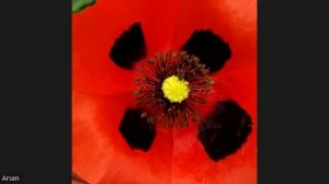 РЕФОРМА ЗДОРОВЬЯ ПО ВЕРЕ      Упражнения   (Арсен Давтьян)