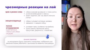 Пример урока из курса "Не гавкай тут"