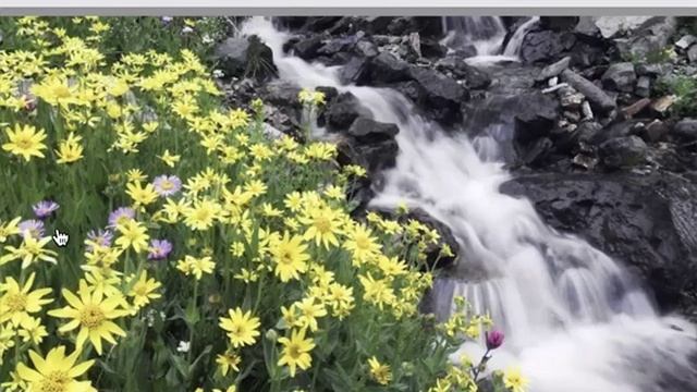 Тема__Реформа_Здоровья_СОЛНЦЕ__Арсен_Давтьян