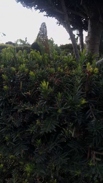 Самый лучший парк отдыха / парк Краснодар смотреть онлайн