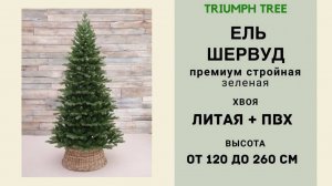 Triumph Tree - ОБЗОР искусственной ели Шервуд премиум стройная зеленая