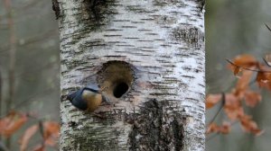 13865919_3840_2160_25fps