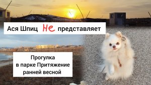 Прогулка с собакой в парке Притяжение ранней весной