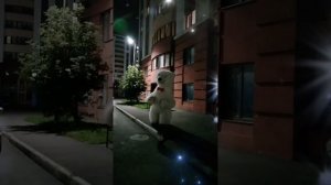 Поздравление от белого мишки в Оренбурге .mp4