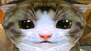 СИМУЛЯТОР КОТА