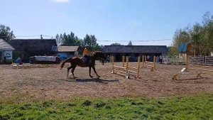 День Флора и Лавра 31.082025 Выступление Фантастики