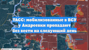 ТАСС: мобилизованные в ВСУ у Андреевки пропадают без вести на следующий день