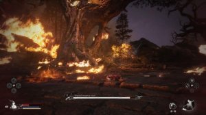 Black Myth: Wukong - #6 - сложные сложности