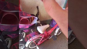 спасли летучую мышь