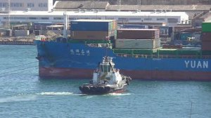 Рабочие будни бухты "Золотой Рог"