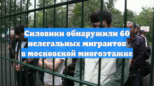 Силовики обнаружили 60 нелегальных мигрантов в московской многоэтажке