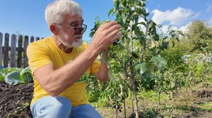Вперёд, товарищи! На дачу! Выпуск от 02.09.25