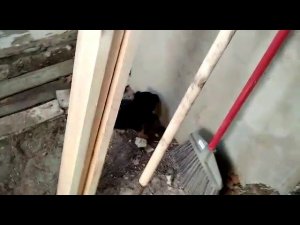 Пополнение в доме!