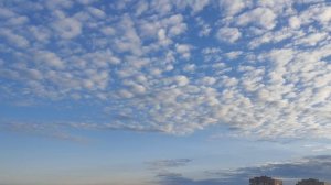 Никита Миночкин — Черные штаны, белая рубашка