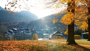 Тихое утро - музыка для релакса и вдохновения