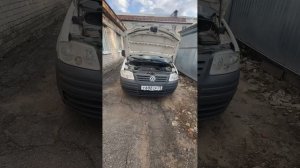 кадди