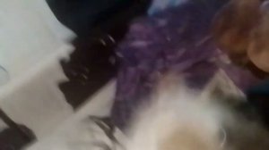 Супер Смэш Брос серия 113 Люба Пропала