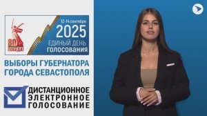Выборы 2025. Голосуй дистанционно. Видеоинструкция.
