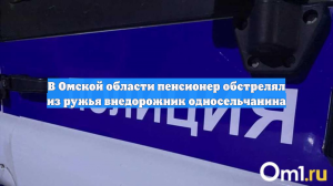 В Омской области пенсионер обстрелял из ружья внедорожник односельчанина