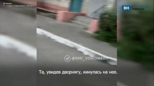 Домашняя собака напала на бродячую в Воронеже