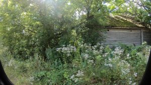 Охота за До. Зона отчуждения.