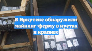 В Иркутске обнаружили майнинг-ферму в кустах и крапиве