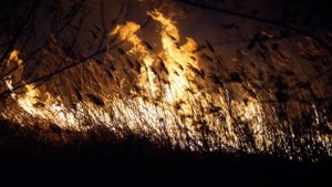 Пал травы — это реальная угроза твоей жизни и имуществу