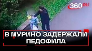 Силой пытался увести в лес в Подмосковье задержан строитель-нелегал по делу о покушении на ребенка